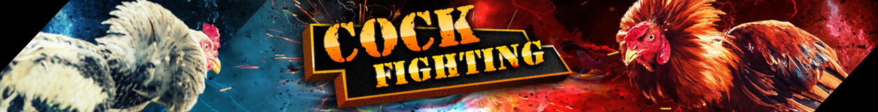 Cockfight